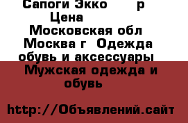 Сапоги Экко - 41 р. › Цена ­ 4 000 - Московская обл., Москва г. Одежда, обувь и аксессуары » Мужская одежда и обувь   